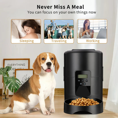 2L APP Control Automatic Pet Feeder Button Version Auto Cat Food Dispenser Smart Control Pet Feeder for Cats Dog Dry Food Bowl
